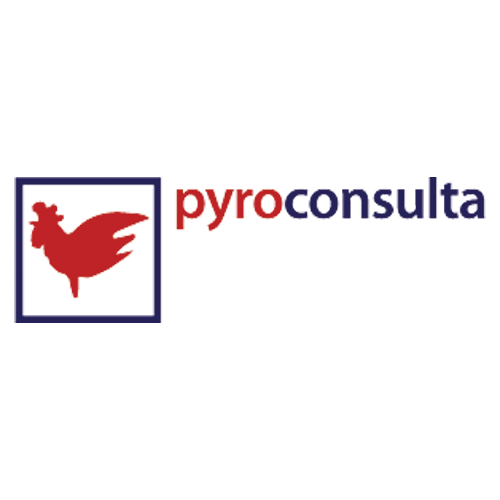logo-pyroconsulta